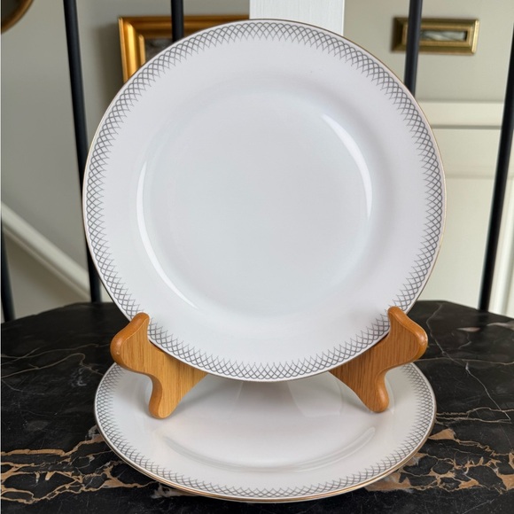 Set of 4 Bavaria Tirschenreuth Germany 8" Luncheon Plates Pattern 2904 Platinum - Picture 8 of 9